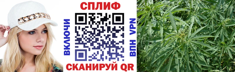 Купить закладки  Починок  Шишки марихуана планчик 